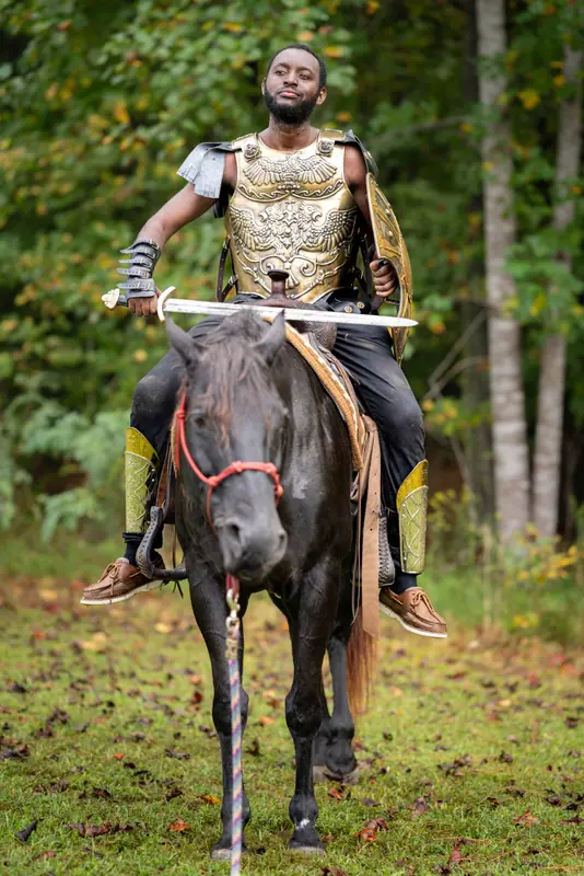 A knight in gold armor on horseback